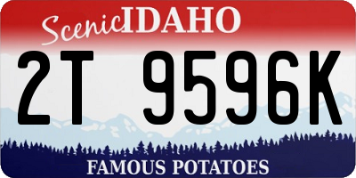 ID license plate 2T9596K