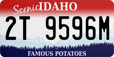 ID license plate 2T9596M