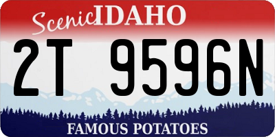 ID license plate 2T9596N
