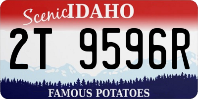 ID license plate 2T9596R