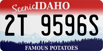 ID license plate 2T9596S