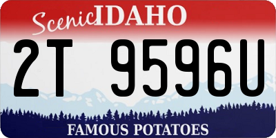 ID license plate 2T9596U