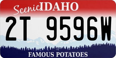 ID license plate 2T9596W