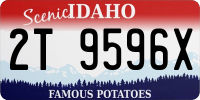 ID license plate 2T9596X