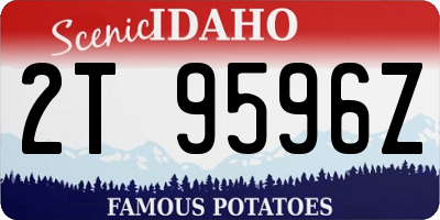 ID license plate 2T9596Z