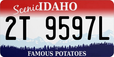 ID license plate 2T9597L