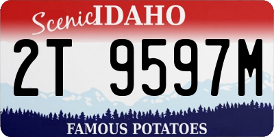 ID license plate 2T9597M