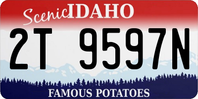 ID license plate 2T9597N