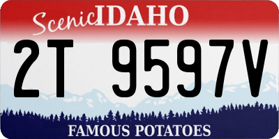 ID license plate 2T9597V