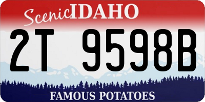 ID license plate 2T9598B