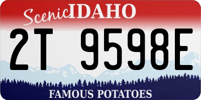 ID license plate 2T9598E