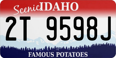 ID license plate 2T9598J