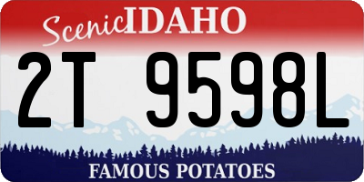 ID license plate 2T9598L