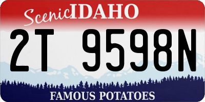 ID license plate 2T9598N