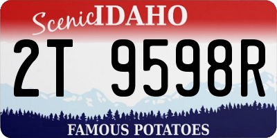 ID license plate 2T9598R