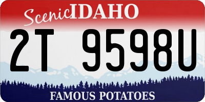 ID license plate 2T9598U