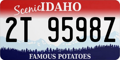 ID license plate 2T9598Z