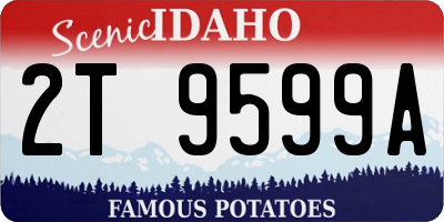 ID license plate 2T9599A