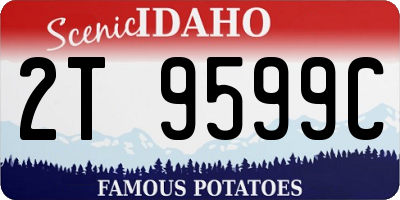 ID license plate 2T9599C