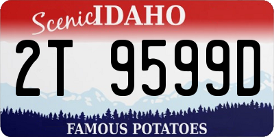 ID license plate 2T9599D