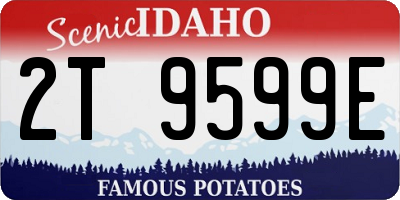 ID license plate 2T9599E