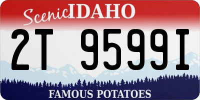 ID license plate 2T9599I