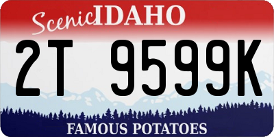 ID license plate 2T9599K