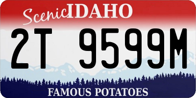 ID license plate 2T9599M
