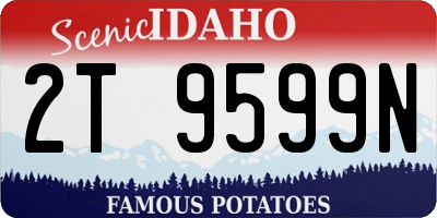 ID license plate 2T9599N