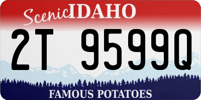 ID license plate 2T9599Q