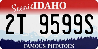 ID license plate 2T9599S