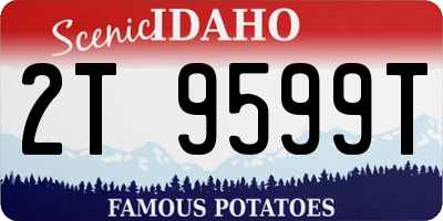 ID license plate 2T9599T