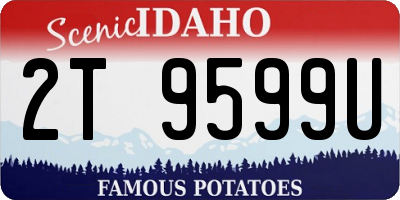 ID license plate 2T9599U