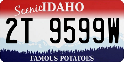 ID license plate 2T9599W