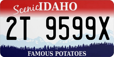 ID license plate 2T9599X