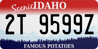 ID license plate 2T9599Z