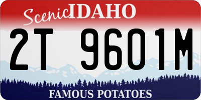 ID license plate 2T9601M