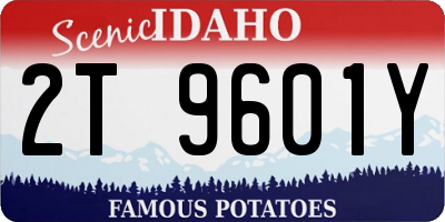 ID license plate 2T9601Y