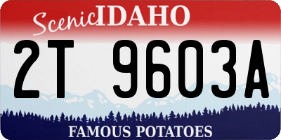 ID license plate 2T9603A