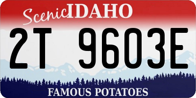 ID license plate 2T9603E