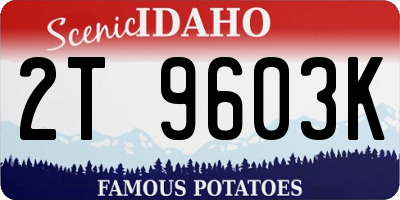 ID license plate 2T9603K