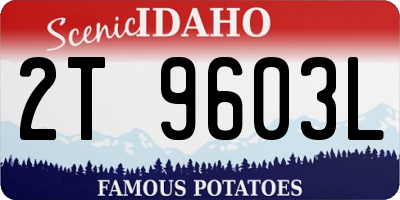 ID license plate 2T9603L