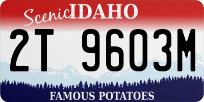 ID license plate 2T9603M