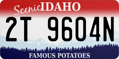 ID license plate 2T9604N