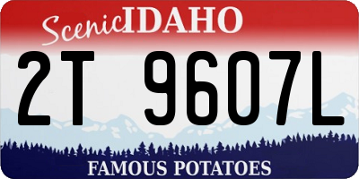 ID license plate 2T9607L
