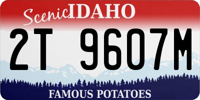ID license plate 2T9607M