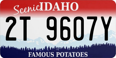 ID license plate 2T9607Y