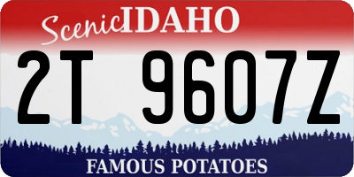 ID license plate 2T9607Z