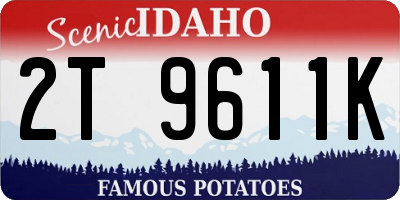 ID license plate 2T9611K