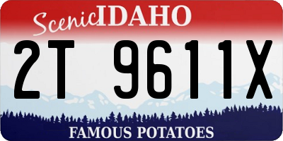 ID license plate 2T9611X